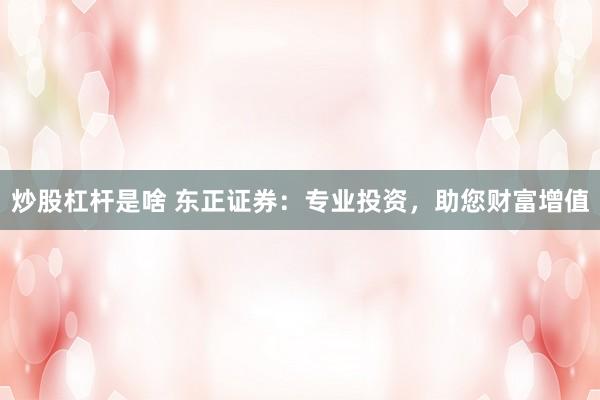 炒股杠杆是啥 东正证券：专业投资，助您财富增值