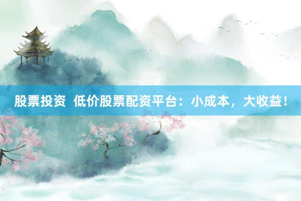股票投资  低价股票配资平台：小成本，大收益！