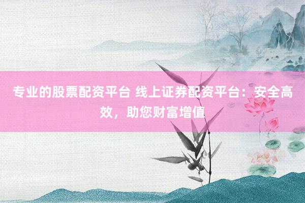专业的股票配资平台 线上证券配资平台:安全高效,助您财富增值