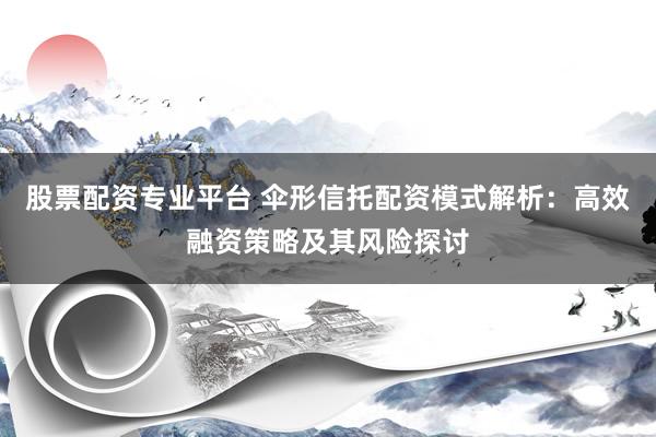 股票配资专业平台 伞形信托配资模式解析：高效融资策略及其风险探讨